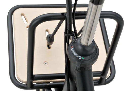 Batavus packde go plus 2021 dames zwart mat batavus elektrische fietsen voorrekje