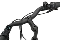 Batavus altura cp dames groen mat batavus elektrische fietsen goed