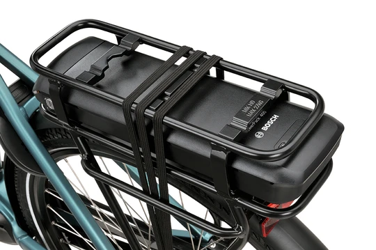 Batavus altura cp dames groen mat batavus elektrische fietsen goed