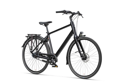 Batavus Senz Active Exclusive 2025