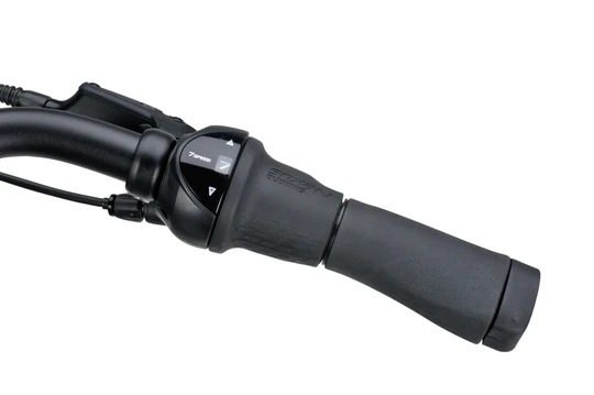 Batavus Senz Active Exclusive 2025