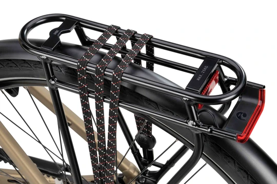 Batavus Senz Active Exclusive 2025