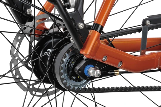 Batavus Dinsdag Exclusive 2025
