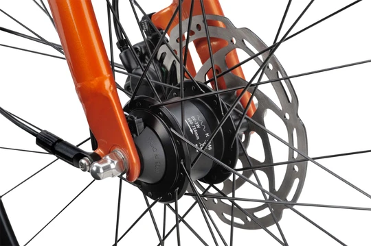 Batavus Dinsdag Exclusive 2025