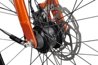 Batavus Dinsdag Exclusive 2025