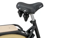 Batavus PACKD 3 2025