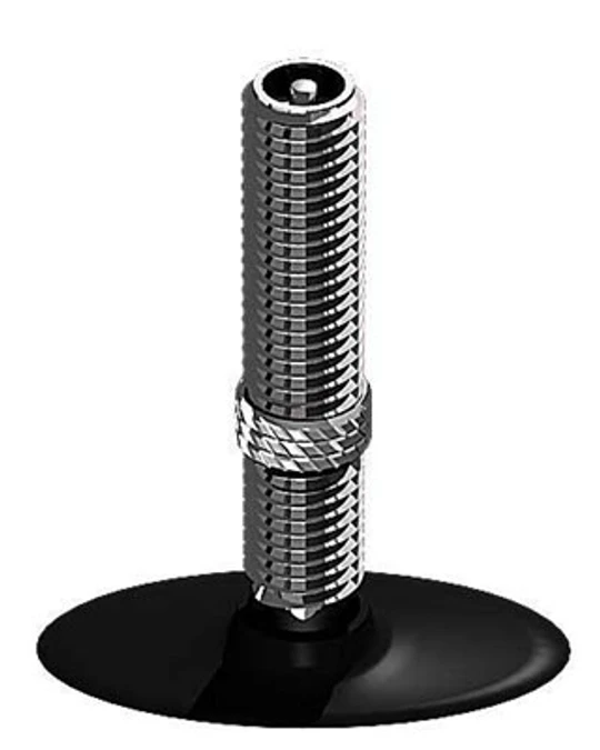 Schwalbe binnenband AV19