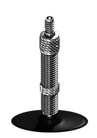Schwalbe dv