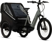 Trike Hybrid Family 750 2024