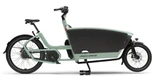 Family next essential chain 2027 dames groen mat urban arrow elektrische fietsen