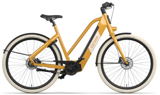 E blau cortina db7 sdmmbelt 2026 geel dames