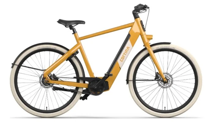 E blau cortina db7 sdmmbelt 2026 geel heren