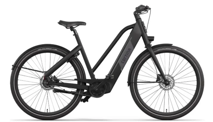 E blau cortina db7 sdmmbelt 2026 zwartmat dames