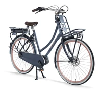 Cortina E-U4 Transport Active M DB7 2025