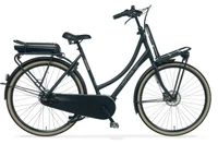 Cortina E-U4 Transport Active MM DB7 2025