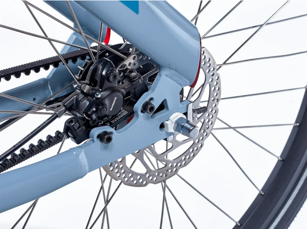 Cortina E-Blau DB7 M belt 2025