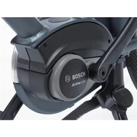 E-U4 Transport Family Active RB7 2024