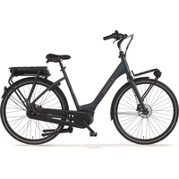 Cortina E-Common Family Active Plus DB7 2024