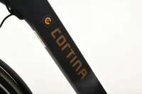Cortina E-Common Family Active Plus DB7 2024