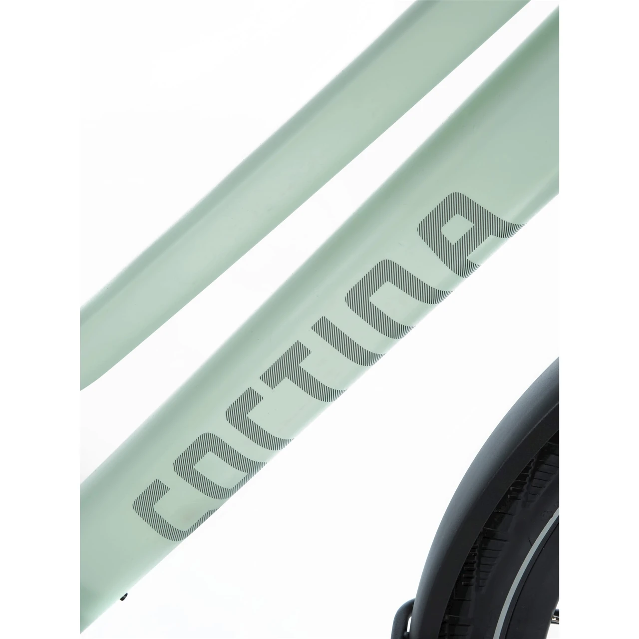 Cortina E-Lett 2025