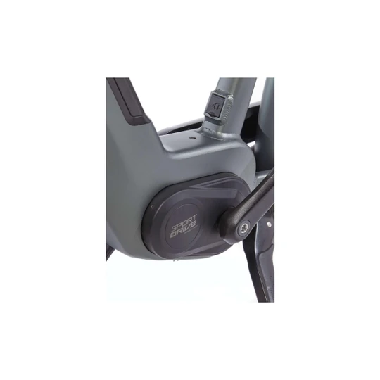 Cortina E-Nite DB7 2025