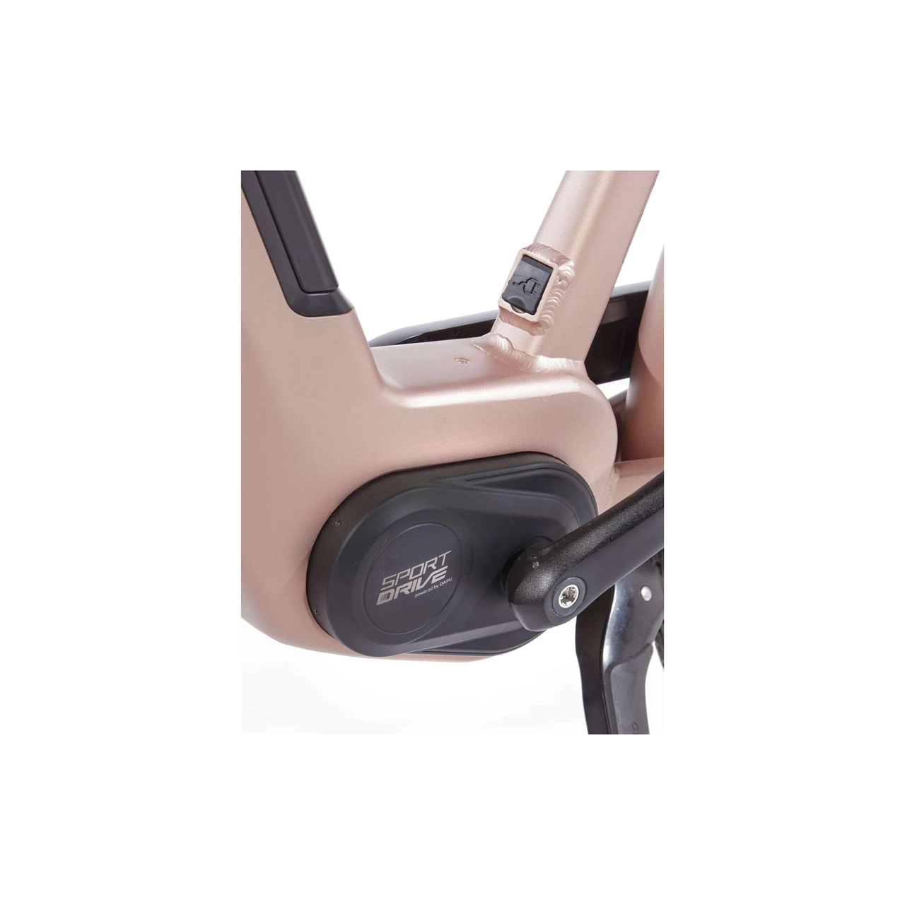 Cortina E-Nite DB7 2025