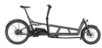 Riese & Müller Load4 75 Vario - Kiox 500 Display - Bagagedrager - 3 Kinderzitjes - Kinderkap - 725 Wh