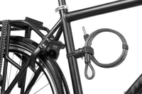 Axa rl150 insteekkabel detail