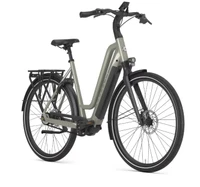 Gazelle chamonix c5 ltd dames groenmat elektrische fietsen zijkant