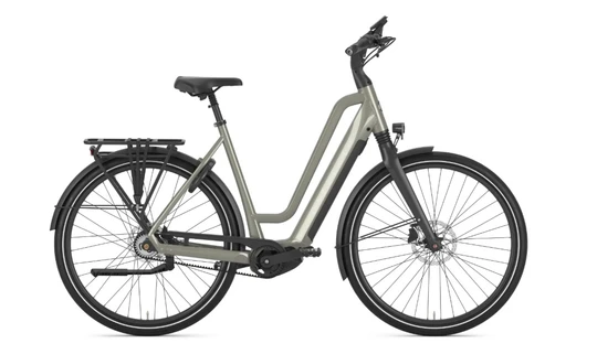 Gazelle chamonix c5 ltd dames groenmat elektrische fietsen