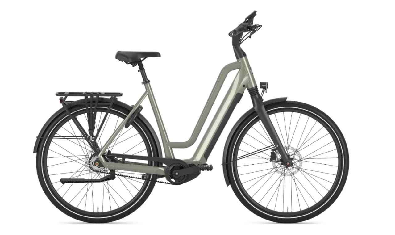 Gazelle chamonix c5 ltd dames groenmat elektrische fietsen
