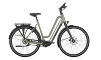 Gazelle chamonix c5 ltd dames groenmat elektrische fietsen