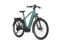 Gazelle eclipse t11 2027 heren groen mat voorkant