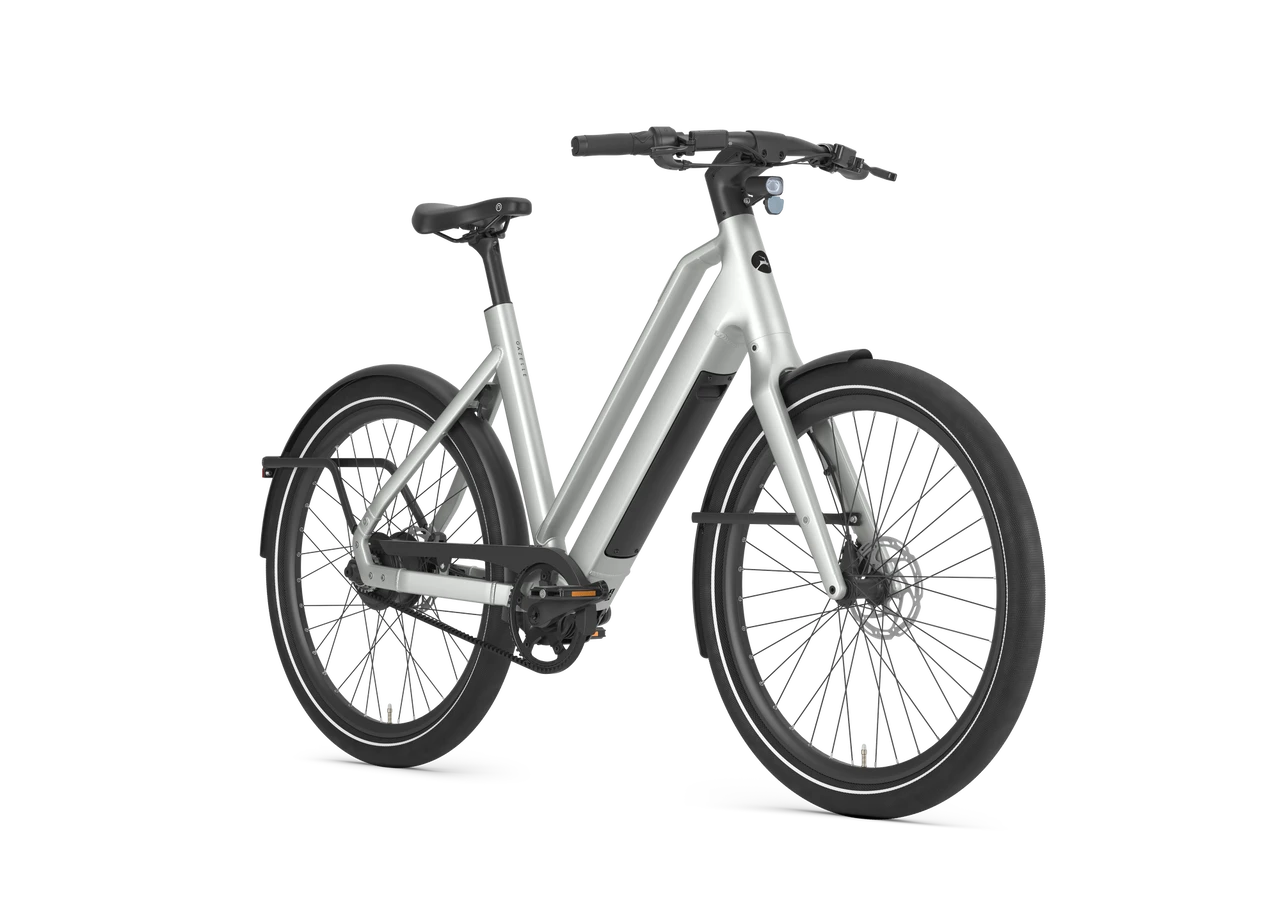 Gazelle Cayo C310 2026