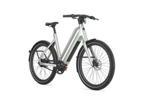 Gazelle Cayo C310 2026