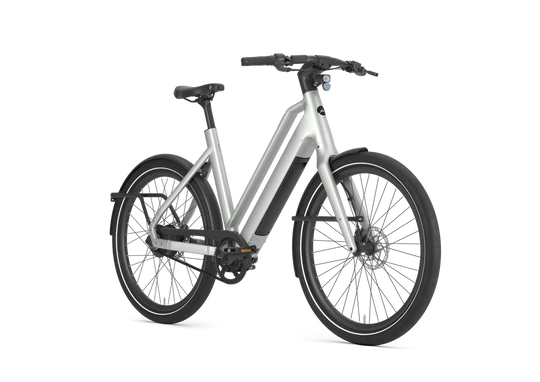Gazelle Cayo C310 2026