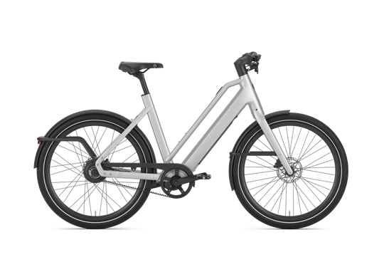 Gazelle Cayo C310 2026