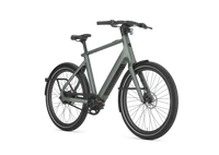 Gazelle Cayo C310 2026