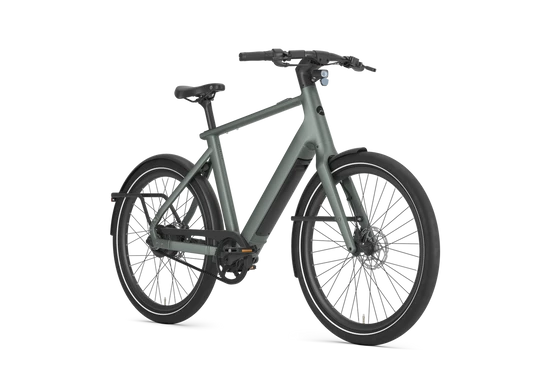 Gazelle Cayo C310 2026