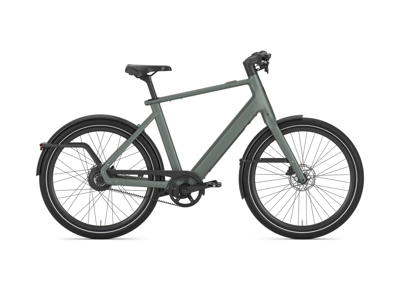 Gazelle Cayo C310 2026