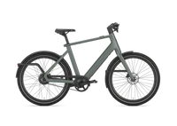 Gazelle Cayo C310 2026