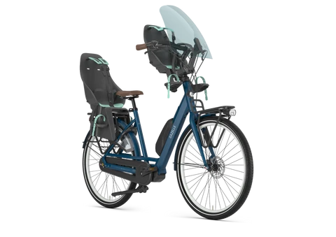 Gazelle Bloom C7 HMS 2025