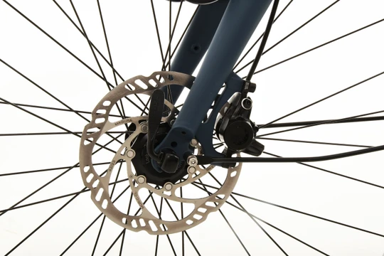 Gazelle Bloom C7 HMS 2025