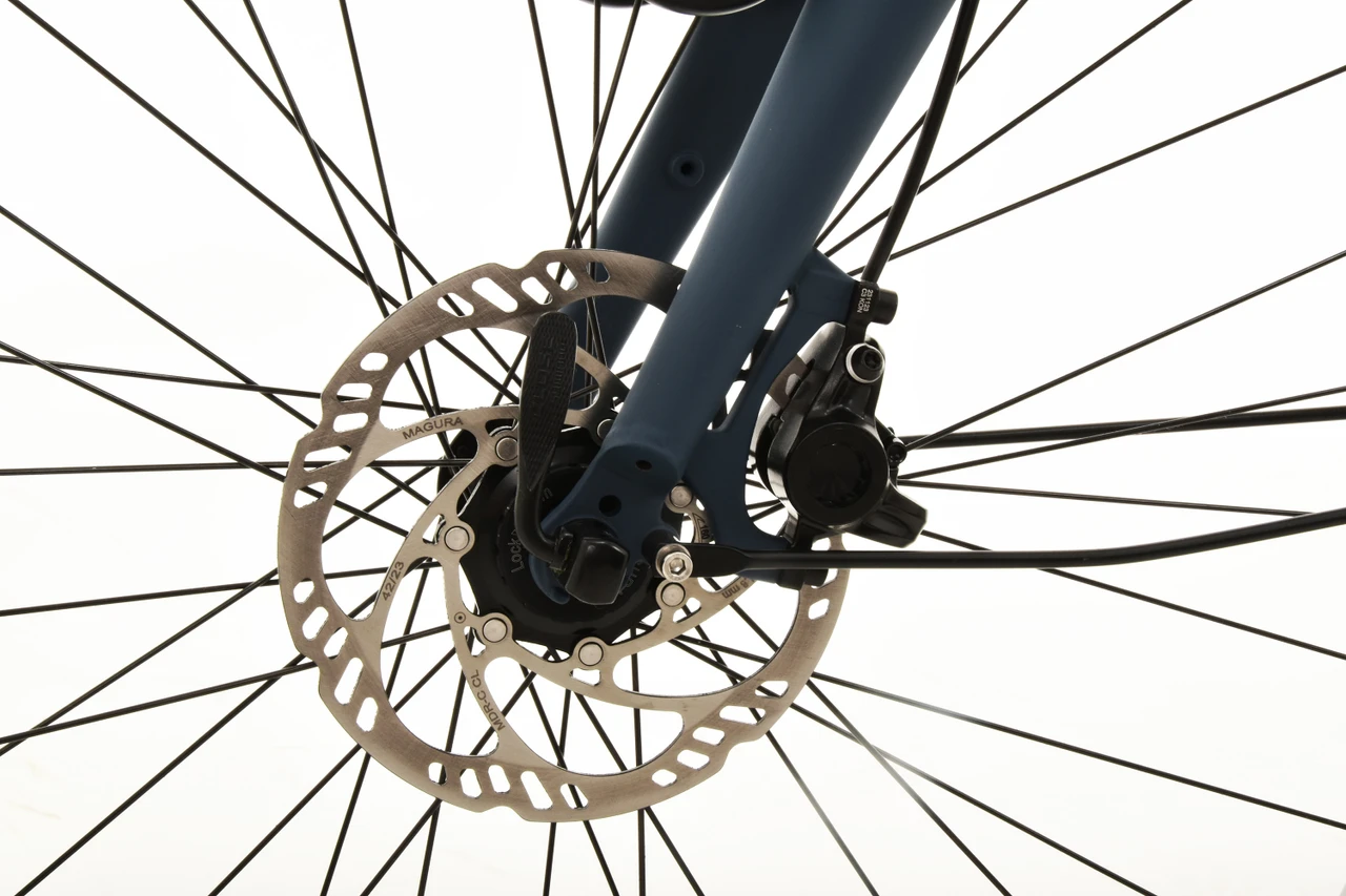 Gazelle Bloom C7 HMS 2025