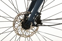 Gazelle Bloom C7 HMS 2025