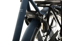 Gazelle Bloom C7 HMS 2025