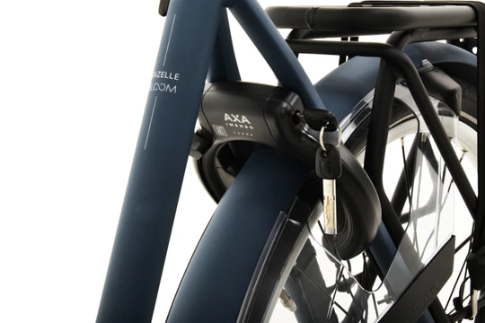 Gazelle Bloom C7 HMS 2025