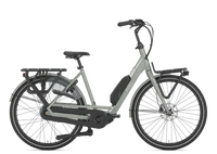 Gazelle Bloom C310 HMS 2025