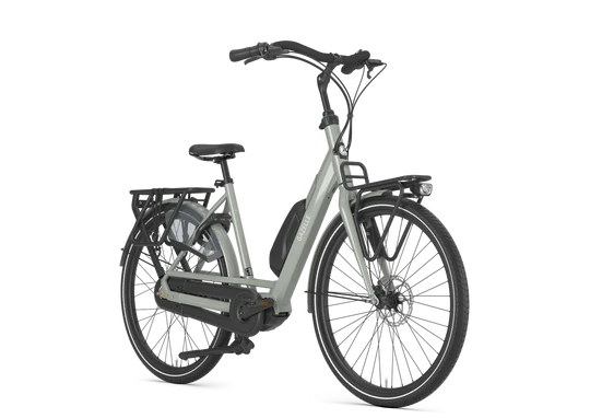 Gazelle Bloom C310 HMS 2025