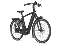 Gazelle Grenoble C8 Plus HMB 2025
